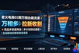老火电商03期万相台截流课：竞品多渠道筛选｜多计划测试递增｜全站联动拉新收割全套实操教学