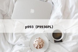 p993（P9936PL）