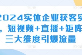 2024实体企业获客实操，短视频 直播 矩阵，三大维度引爆流量