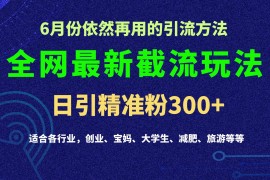2024全网最新截留玩法，每日引流突破300 