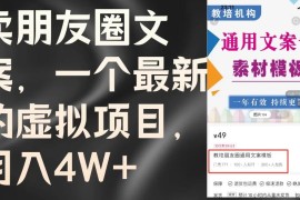 卖朋友圈文案，每月收入超过4万，含教程和素材