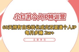 小红书个人IP陪跑营：两个月打造自动转化成交的多渠道个人IP，每月收入2w （30节）