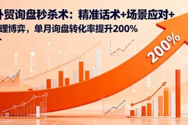 （16357期）外贸询盘秒杀术：精准话术 场景应对 心理博弈，单月询盘转化率提升200%