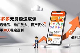 拼多多无货源速成课，开店选品、推广放大、投产优化，新手30天稳定盈利