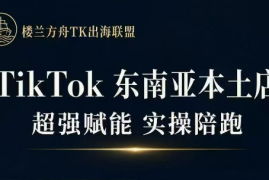 三叔·TikTok东南亚本土店实操(更新8月)