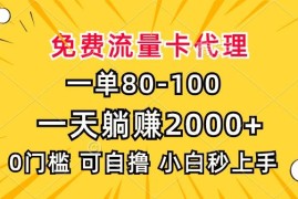 （13551期）一单80，免费流量卡代理，一天躺赚2000 ，0门槛，小白也能轻松上手