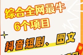 综合全网 6 个副业项目，有手就能做，新手、小白也能轻松上手