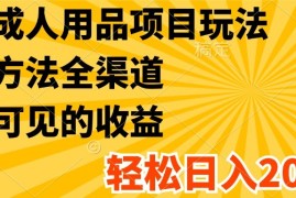 最新成人用品项目玩法，方式方法全渠道，肉眼可见的收益，轻松日入2000 