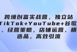 跨境创富实战营，独立站 TikTok YouTube 谷歌广告，经营策略，店铺运营，精准选品，高效引流