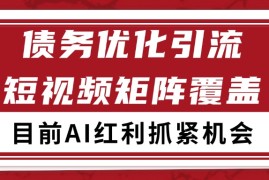 小红书某音债务优化赛道引流获客 自热矩阵日引200 