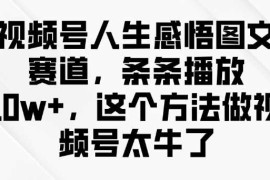 视频号人生感悟图文赛道，条条播放10w ，这个方法做视频号太牛了