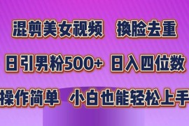 混剪美女视频，换脸去重，日引男粉500 ，日入四位数，操作简单，小白也能轻松上手