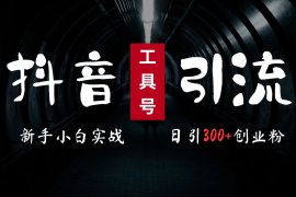 2024最新抖音工具号引流玩法，高效日引300 创业粉，当天变现5000 ，小白也可成为实战高手