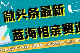 微头条最新蓝海相亲赛道，利用 ChatGPT 三分钟一篇文章，小白轻松日入 200  可矩阵！