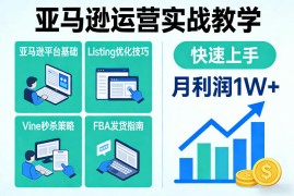 亚马逊运营实战教学，亚马逊平台 Listing优化 Vine秒杀 FBA发货等，快速上手，实现店铺月利润1W