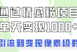 我是怎么通过情感粉项目单天变现1000 的，从引流到变现像素级教程
