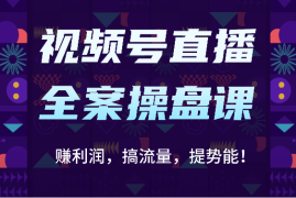 视频号直播全案操盘课：赚利润，搞流量，提势能！（16节课）