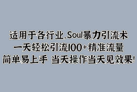 适用于各行业，Soul暴力引流术，一天轻松引流100 精准流量，简单易上手 当天操作当天见效果!