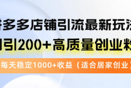 （12893期）拼多多店铺引流最新玩法，日引200 高质量创业粉，每天稳定1000 收益（…