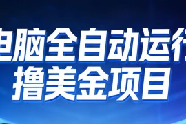 2026年电脑全自动赚美金项目，单电脑日收益700 