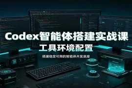 Codex智能体搭建实战课：工具环境配置，自定义技能开发，多业务自动化教学