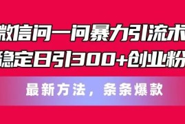 微信问一问暴力引流术，稳定日引300 创业粉，最新方法，条条爆款【揭秘】