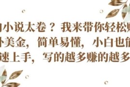 国内小说太卷 ?带你轻松赚取老外美金，简单易懂，小白也能快速上手，写的越多赚的越多【揭秘】