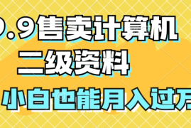 19.9售卖计算机二级资料，发发图片，小白也能月入过万！