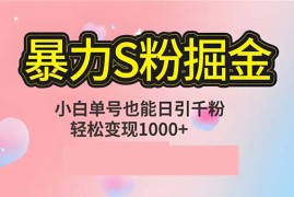 （12778期）单人单机日引千粉，变现1000 ，S粉流量掘金计划攻略