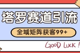 小红书某音塔罗赛道引流获客 自热矩阵日引200 【揭秘】