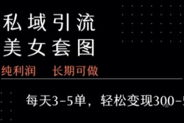 私域卖套图每天3-5单 每单利润99-2张 