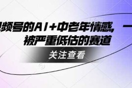 视频号的AI 中老年情感，一个被严重低估的赛道
