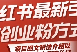 小红书最新引流创业粉方式，项目图文玩法介绍以及如何安全倒流私域