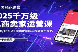 2025千万级电商卖家运营课：小红书/TK打法 实体IP矩阵与视频量产技巧