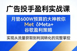 广告投手盈利实战课，月管600W预算的大神教你Meta 谷歌盈利策略，实现从流量获取到利润转化的完整掌控