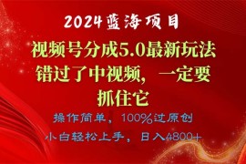 （11032期）2024蓝海项目，视频号分成计划5.0最新玩法，错过了中视频，一定要抓住…