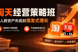 淘天经营策略班，从人群资产布局到爆发式增长，独家资产运营模型，产品矩阵实战打法(更新1019)