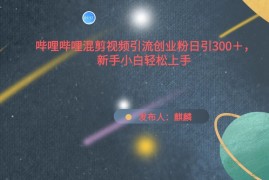 哔哩哔哩混剪视频引流创业粉，日引300 ，新手小自轻松上手
