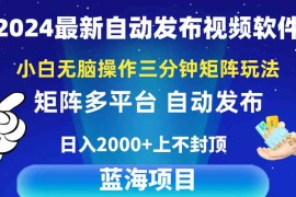 （10166期）2024最新视频矩阵玩法，小白无脑操作，轻松操作，3分钟一个视频，日入2k 