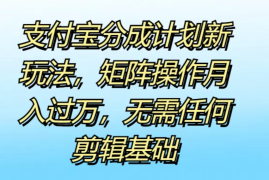 支付宝分成计划新玩法，矩阵操作月入过万，无需任何剪辑基础