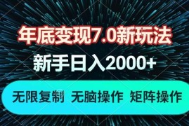 （13721期）年底变现7.0新玩法，单机一小时18块，无脑批量操作日入2000 