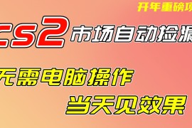 CS2市场挂机项，无需电脑操作，无需进入游戏，当天见效果，支持任何形式验证