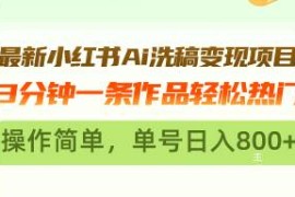 （13182期）最新小红书Ai洗稿变现项目 3分钟一条作品轻松热门 操作简单，单号日入800 