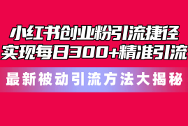 （10692期）小红书创业粉引流捷径！最新被动引流方法大揭秘，实现每日300 精准引流