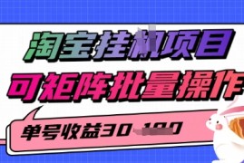 淘宝挂G项目，单号30，可矩阵批量操作