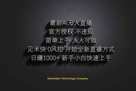 （14415期）日赚1000  ！Ai无人直播躺赚新风口！无需出境，无需说话！单日收益1000 ！