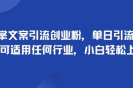 手掌文案引流创业粉，单日引流100 ，可适用任何行业，小白轻松上手