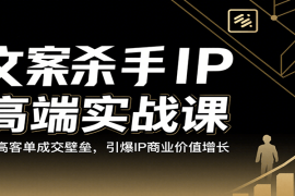 文案杀手IP高端实战课：破高客单成交壁垒，引爆IP商业价值增长