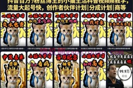 抖音百万粉丝博主的小猫生活科普视频教学，流量大起号快，创作者伙伴计划|分成计划|商单|收徒等