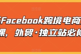 脸书Facebook跨境电商入门课，外贸·独立站必修